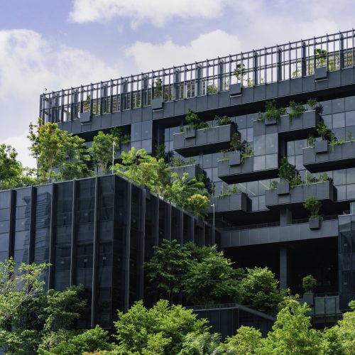 Green building with vertical garden